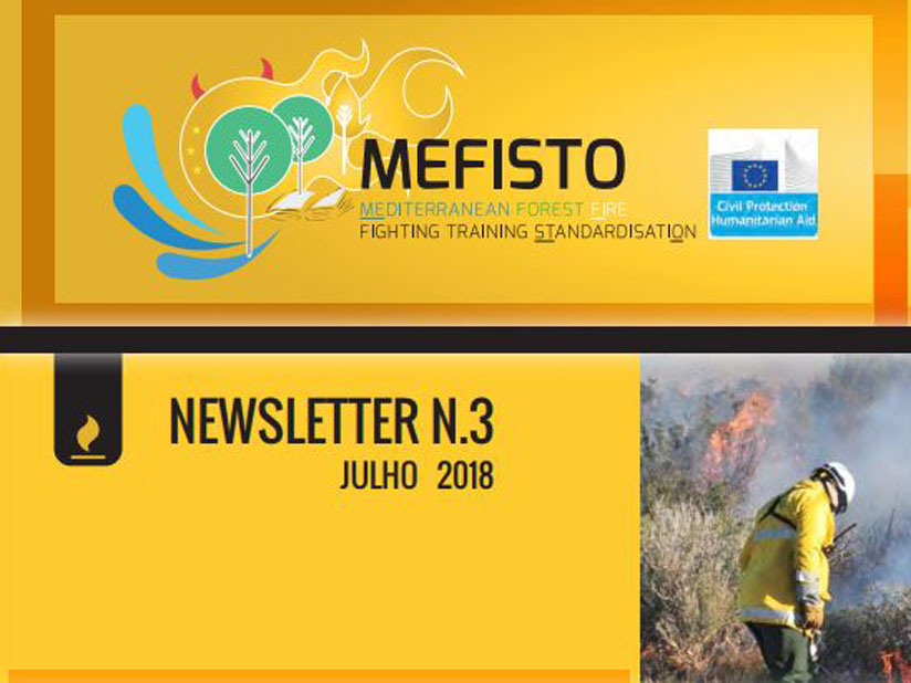Newsletter dá a conhecer últimas novidades do projeto MEFISTO 