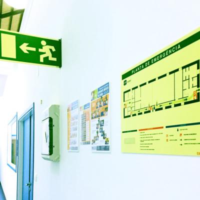 Organização de Segurança